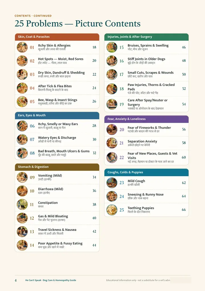 Picture contents — 25 problems